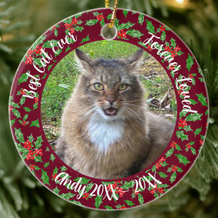 Best Cat Ever Custom Name Christmas Pet Gift Ceramic Ornament