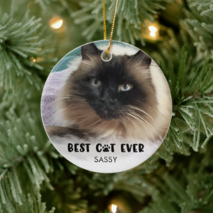 BEST CAT EVER Photo White Overlay Personalised Ceramic Ornament