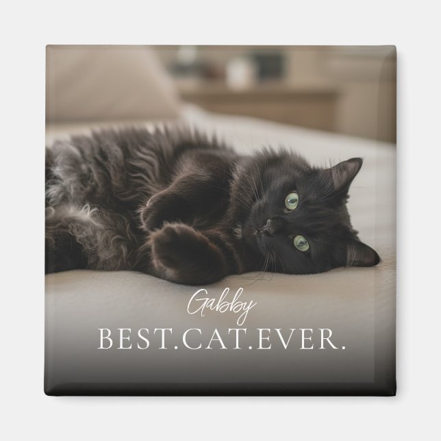 Best Cat Ever Your Pet Name And Photo  Magnet (Front)