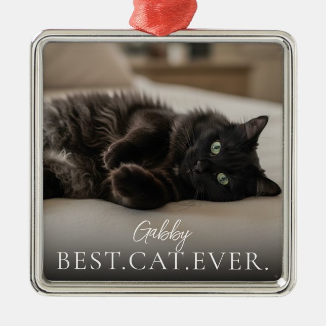 Best Cat Ever Your Pet Name And Photo  Metal Ornament (Front)