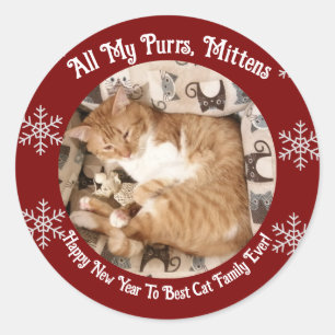  Best Cat Family  Ever , Cat Photo ,  Classic Round Sticker