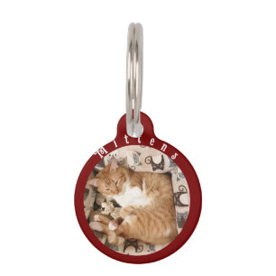 Best Cat Family Ever , Cat Photo , Pet Tag