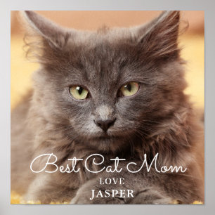 Best Cat Mum Photo Poster