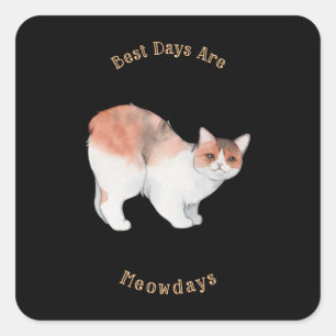 Best Days are Meowdays Square Sticker