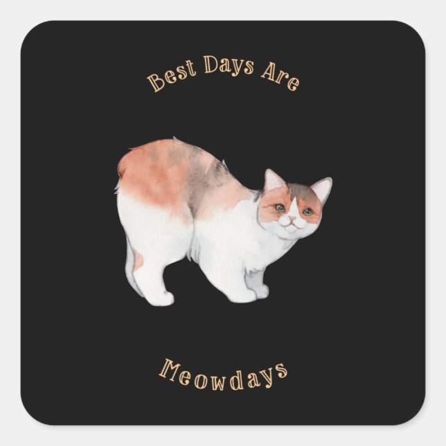 Best Days are Meowdays Square Sticker (Front)