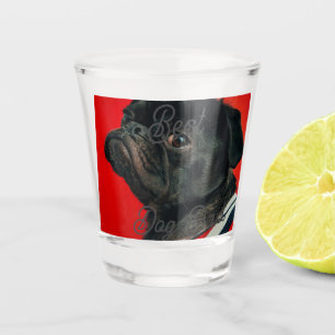 Best dog dad parents grandparents photo pet gray n shot glass