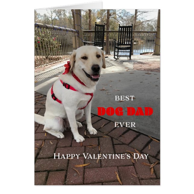 Best Dog Dad Valentine Labrador Cute (Front)