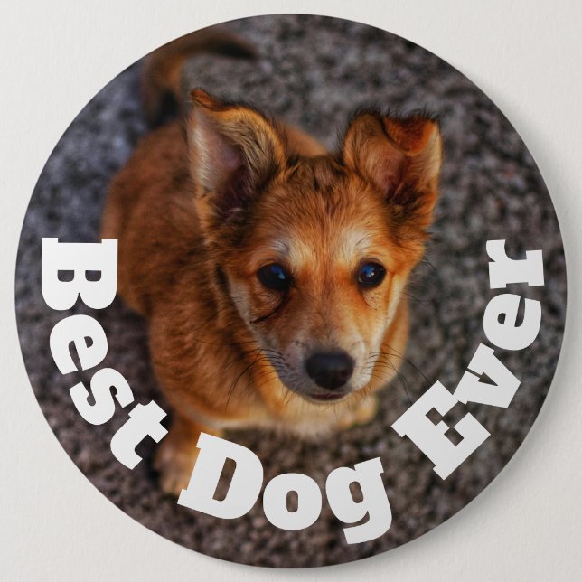 Best Dog Ever 6 Cm Round Badge (Front)