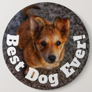 Best Dog Ever 6 Cm Round Badge