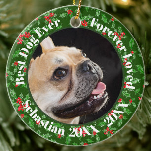 Best Dog Ever Custom Name Christmas Pet Gift Ceramic Ornament