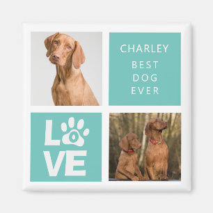Best Dog Ever   Personalised Photo Magnet