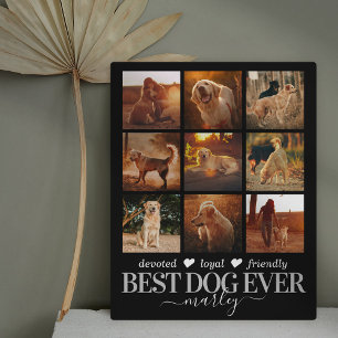 Best Dog Ever Photo - Pet Memorial Plaque