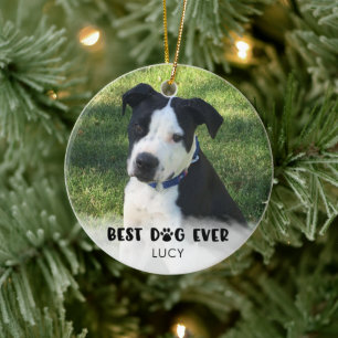 BEST DOG EVER Photo White Overlay Personalised Ceramic Ornament