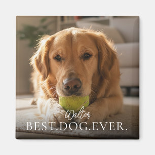 Best Dog Ever Your Pet Name And Photo Magnet