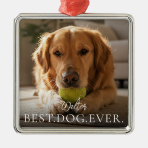 Best Dog Ever Your Pet Name And Photo  Metal Ornament
