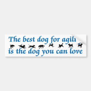 Best Dog For Agility Bumper Sticker