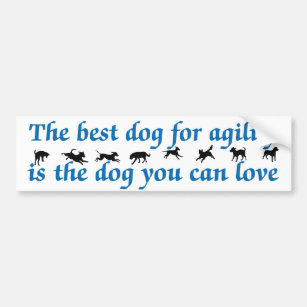 Best Dog For Agility Bumper Sticker