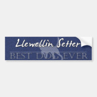 Best Dog Llewellin Setter Bumper Sticker