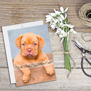 Best Dog Mum Ever Mother’s Day Custom Flat Card