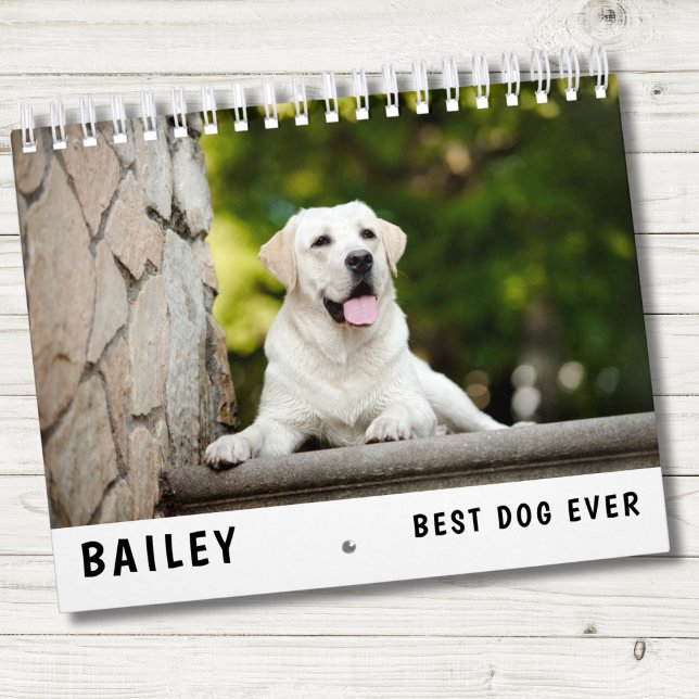 Best Dog Photo  Calendar (Creator Uploaded)