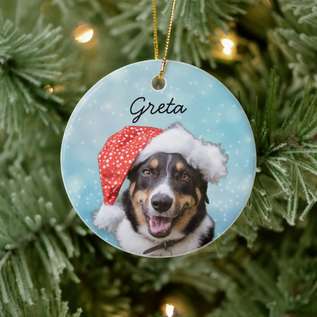 Best Dog Photo Pet Portrait Cat Snow Christmas Ceramic Ornament (Tree)