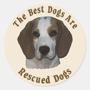 Best Dogs Are Rescued - Beagle Classic Round Sticker
