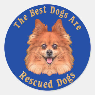 Best Dogs Are Rescued Pomeranian) Classic Round Sticker