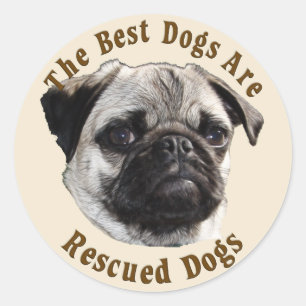 Best Dogs Are Rescued (Pug) Classic Round Sticker