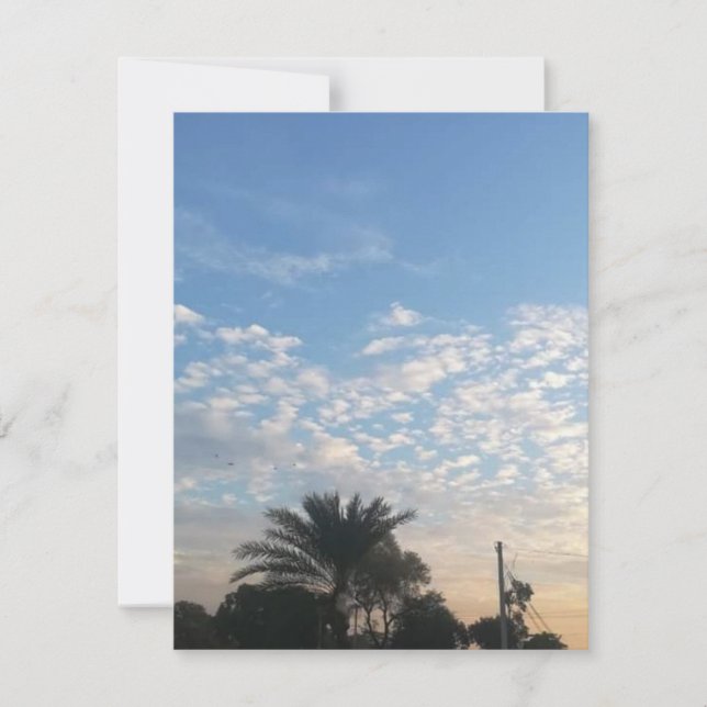 Best Flat Holiday Card (Front)