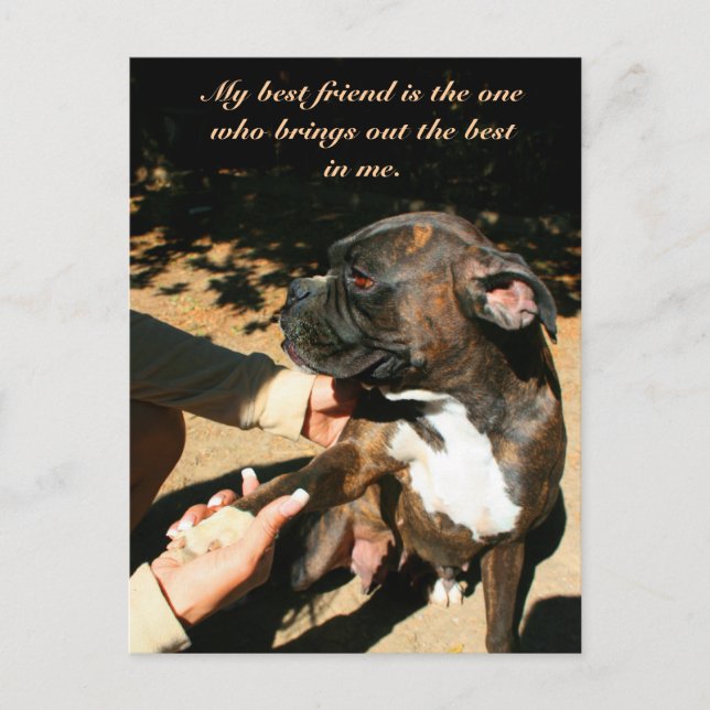 Best friend boxer postcard (Front)