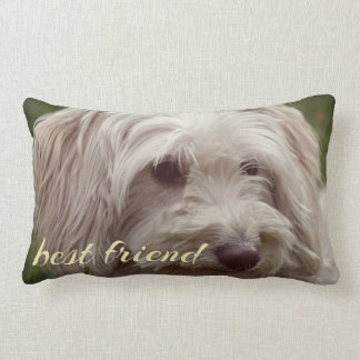 Best friend custom accent throw pillow. lumbar cushion