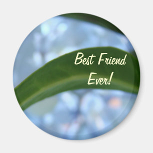 Best Friend Ever! magnet Blue Green Leaf