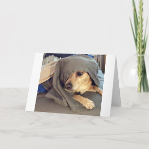 BEST FRIEND from the animal shelter is a greeting Card