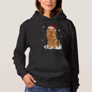 Best Friend Matching Santa Golden Retriever Christ Hoodie