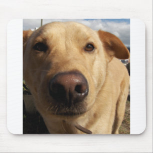 Best Friend Mouse Pad