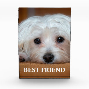 Best Friend Photo Block