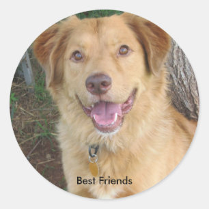Best Friends2883 Classic Round Sticker