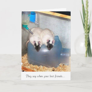 Best Friends 1 Card