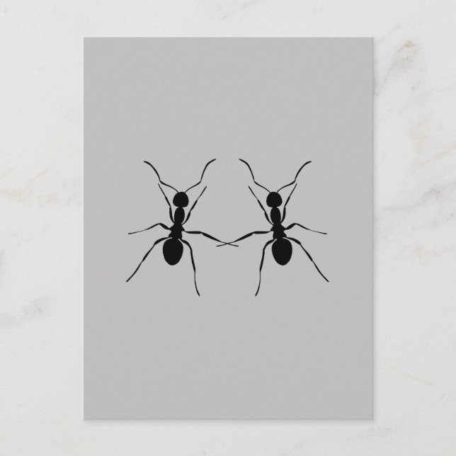 Best friends. Ant Couple Postcard (Front)
