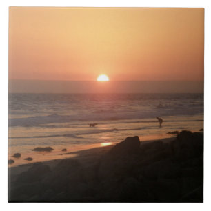 Best Friends at the Beach Tile