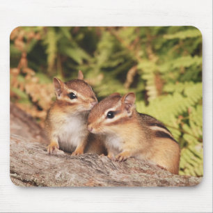 Best Friends Baby Chipmunks Mouse Pad