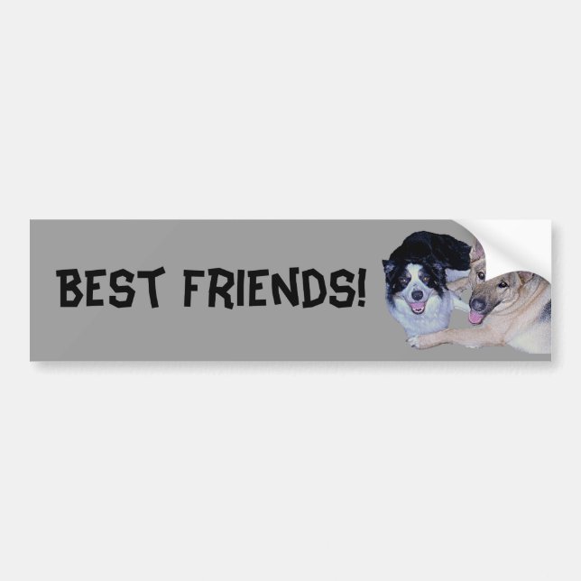 Best Friends Border Collie & German Shepherd Bumper Sticker (Front)
