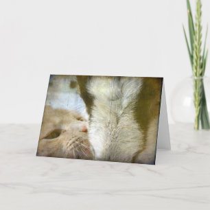 Best Friends Card