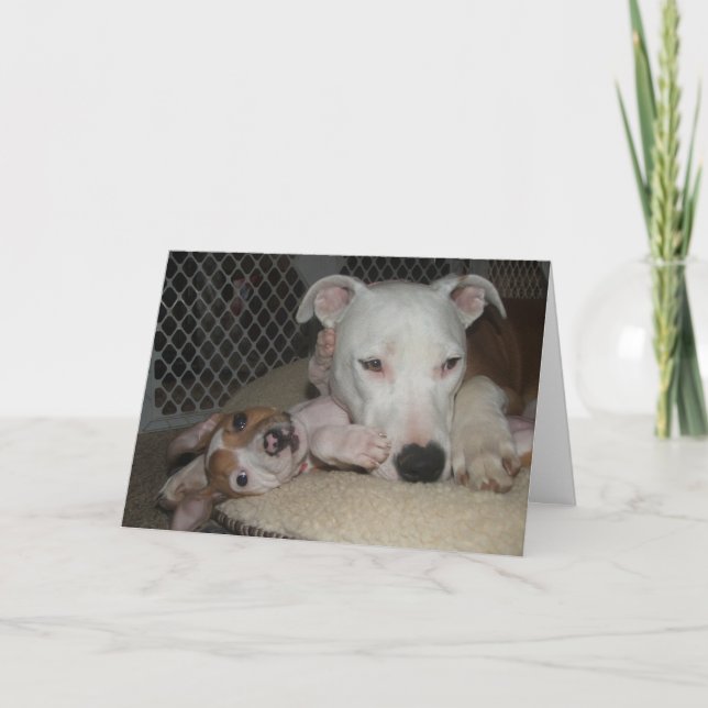 Best Friends. Card (Front)