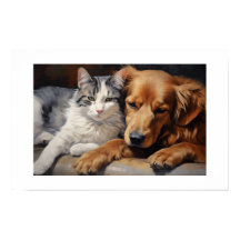 Best Friends Cat and Dog