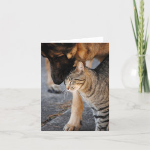 Best Friends- Cat & German Shepherd Card