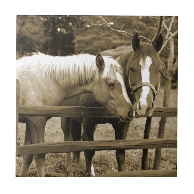 Best Friends Ceramic Tile (Front)