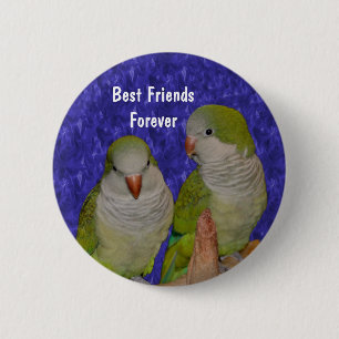 Best Friends Cute Birds Friendship Button