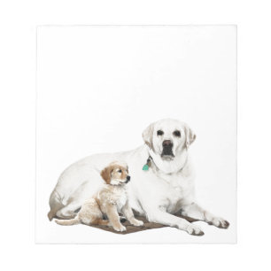 Best friends for life notepad