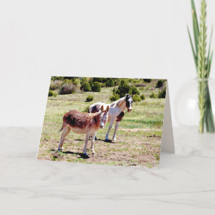 Best Friends Forever, Blank Greeting  Card